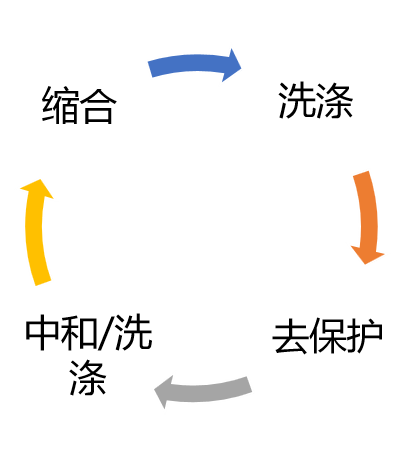GMP多肽合成公司 1637889776248238.png