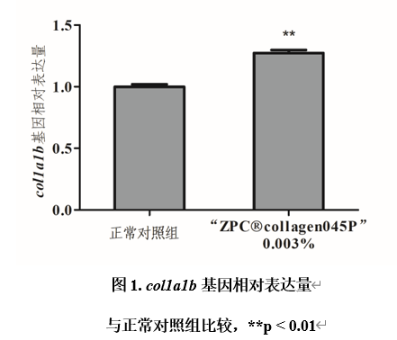 GMP多肽合成公司 1640307522352079.png