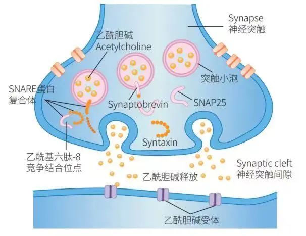 1649206427779016.jpg 微信圖片_20220323102911.jpg