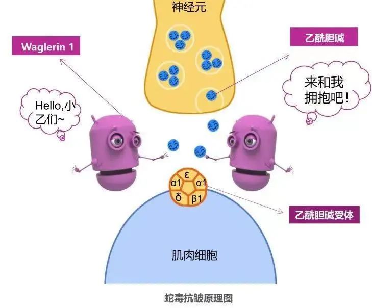 1649206441939637.jpg 微信圖片_20220323103237.jpg