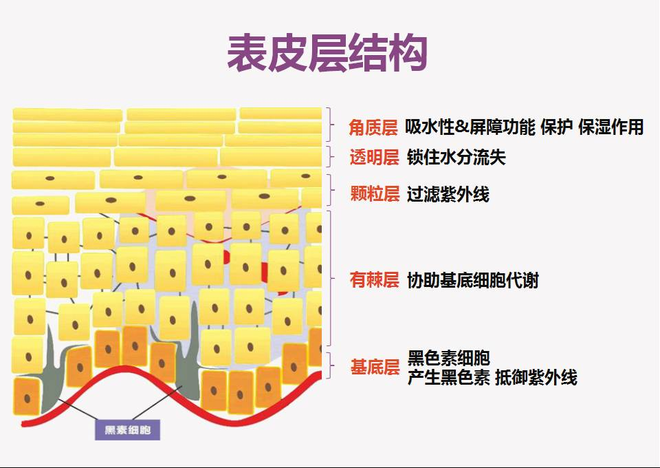 1658104860353573.png 微信圖片_20220713101239.png
