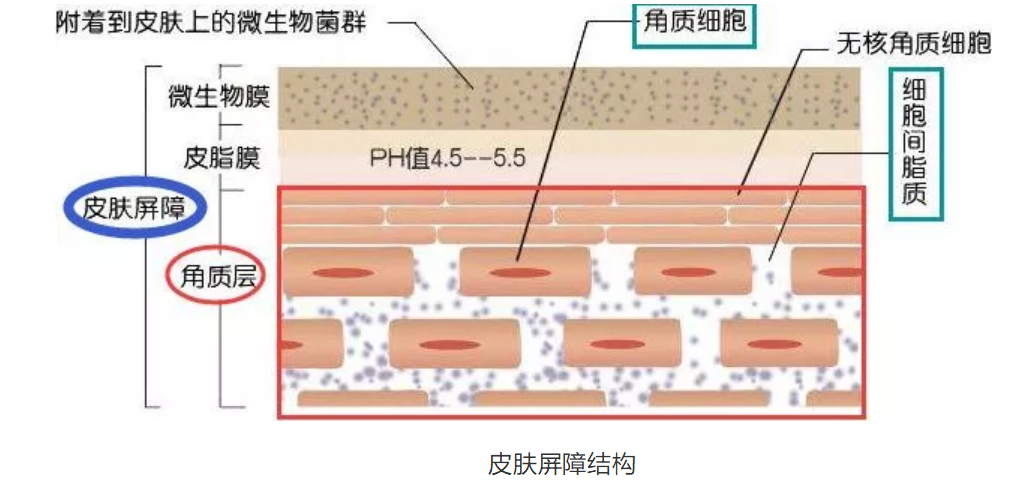 1658104924815736.png 微信圖片_20220712115718.png