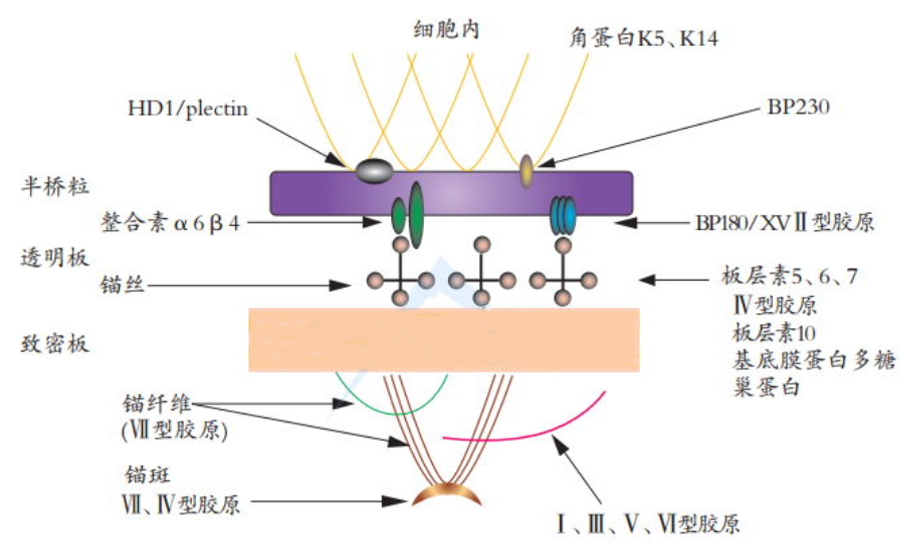 1659919086419385.png 微信圖片_20220801155513.png