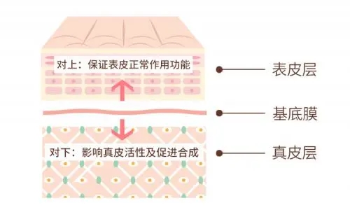 1659919118809956.jpg u=2256242354,3765204029&fm=253&app=138&f=JPG&fmt=auto&q=75.webp.jpg