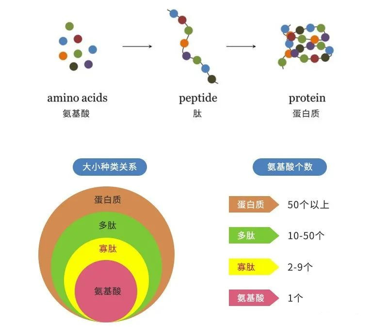 1668127132687141.jpg 微信圖片_20221110094040.jpg